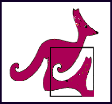 canguro